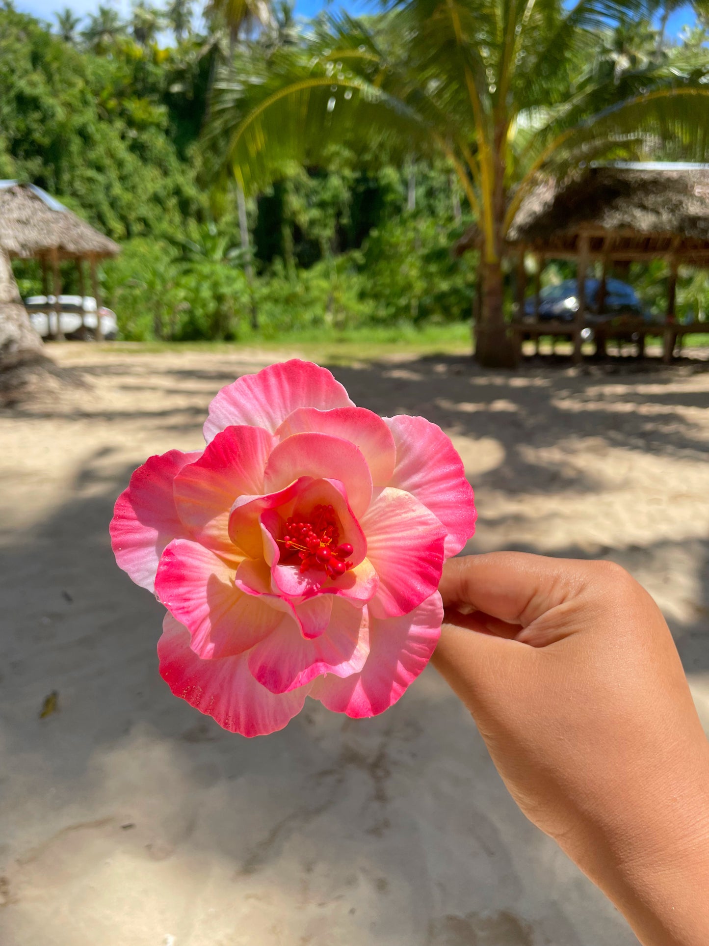 Sei's ( Cece's House of Fashion )