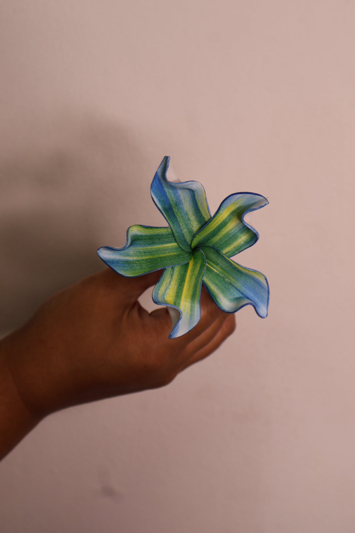 Sei - Marie's Vibrant Sei's