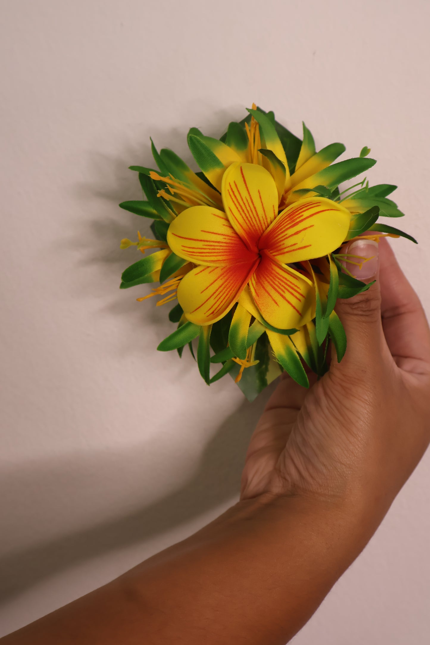 Tima Hair Clips