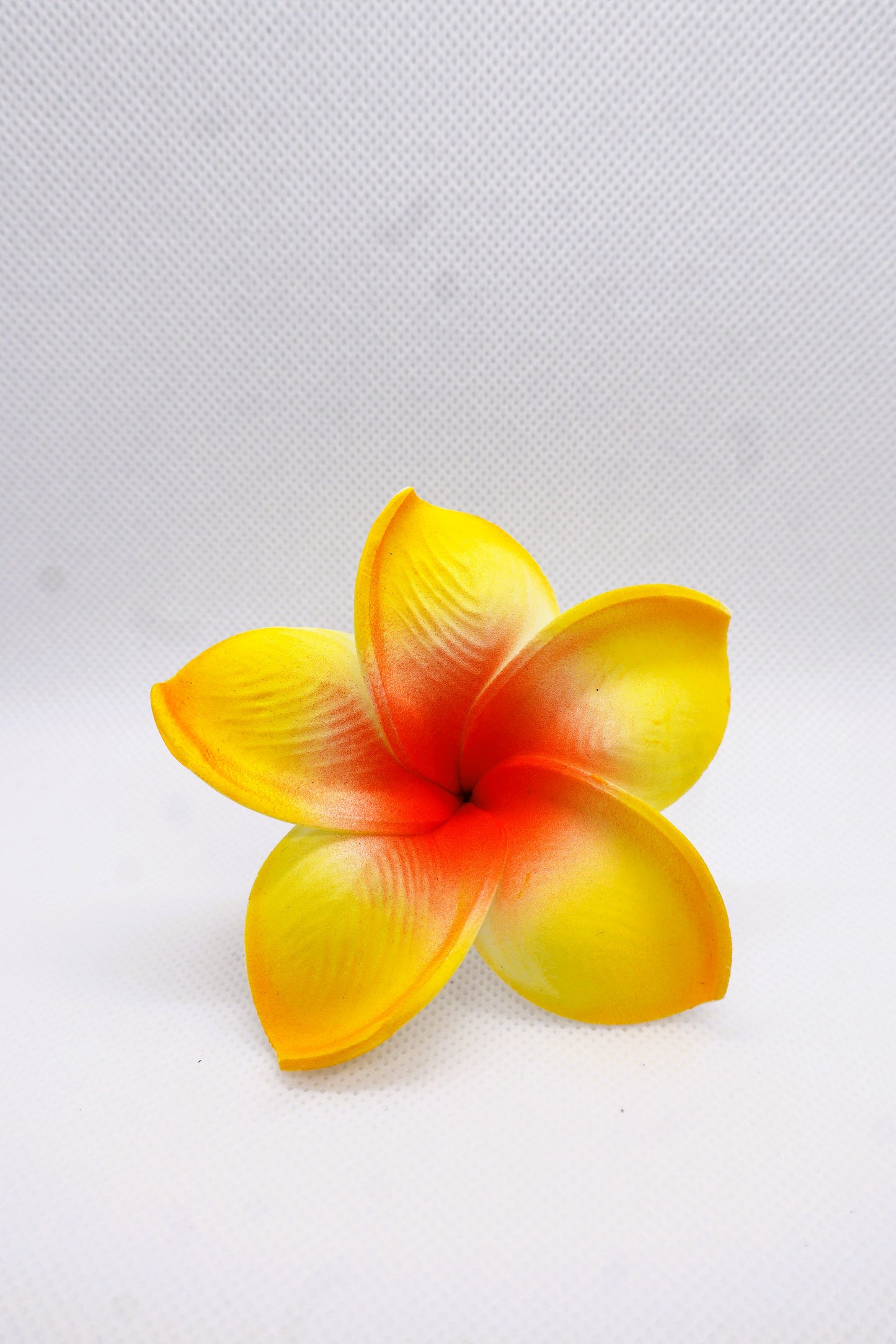Tropical Medium Sei Collection