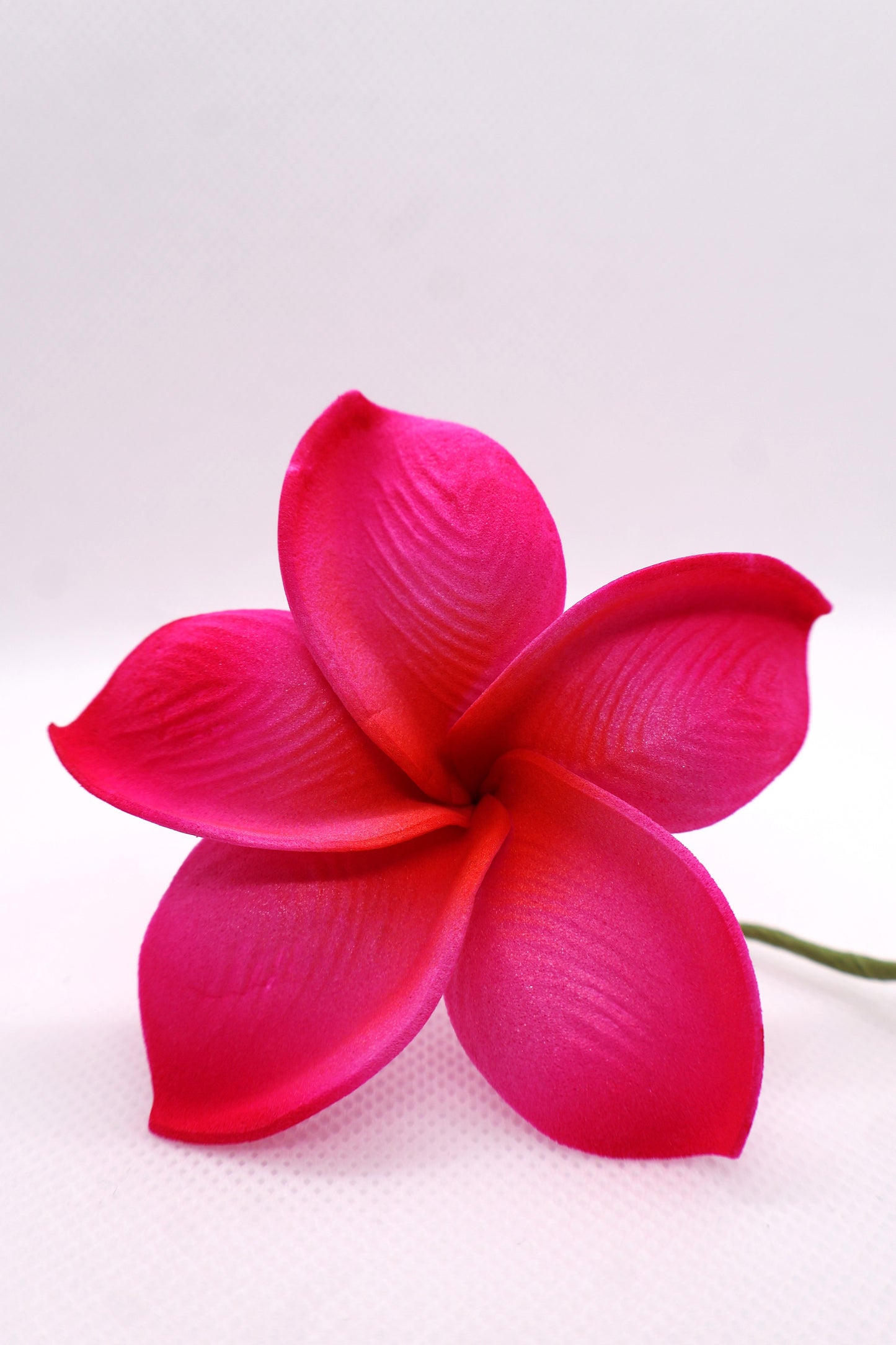Tropical Medium Sei Collection