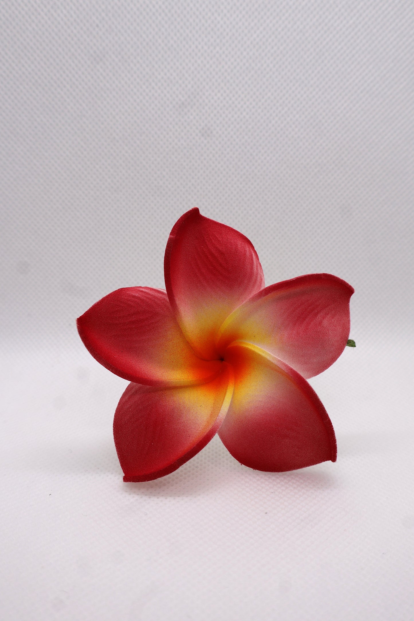 Tropical Medium Sei Collection