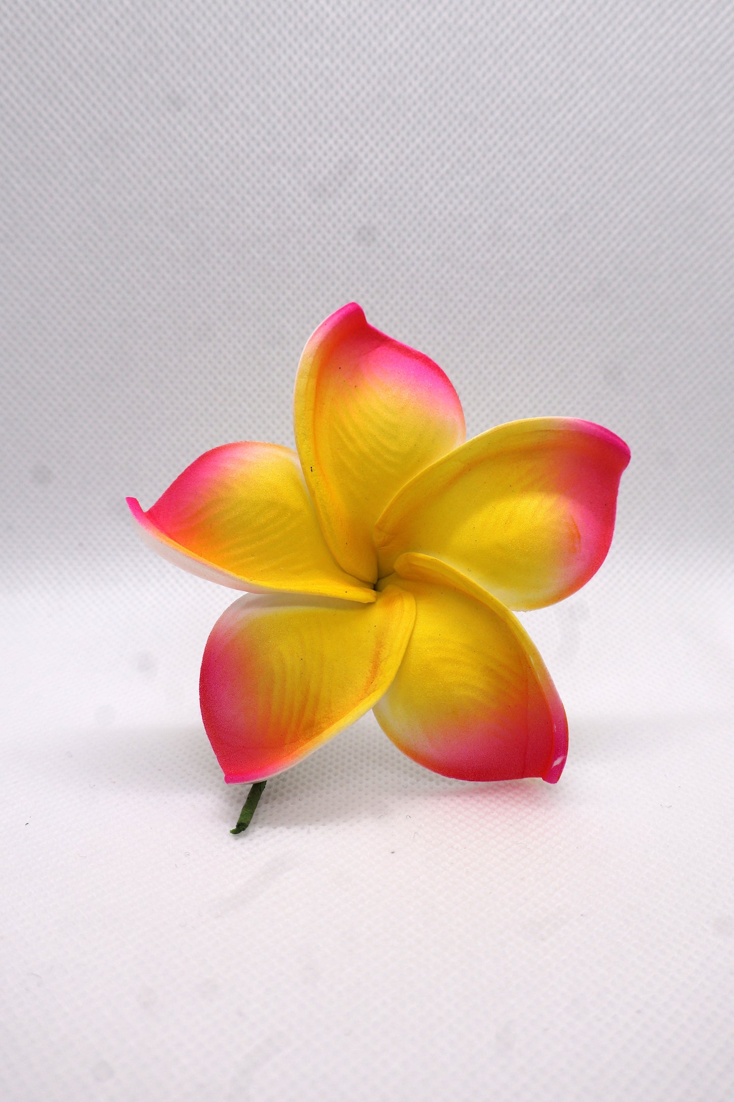 Tropical Medium Sei Collection