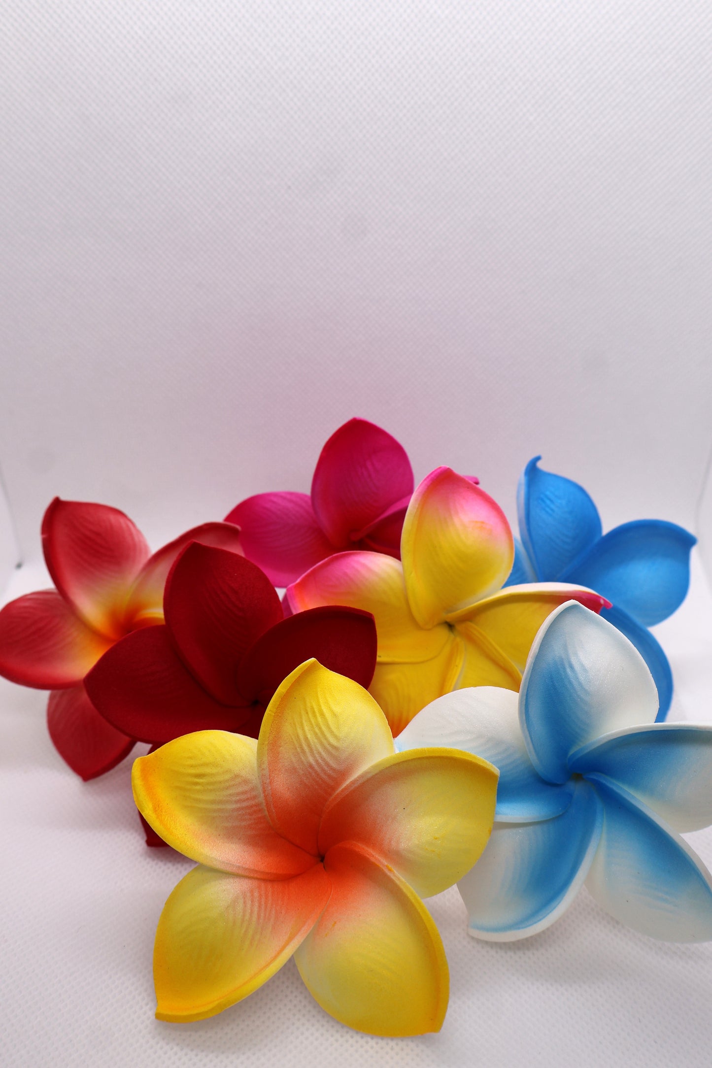 Tropical Medium Sei Collection