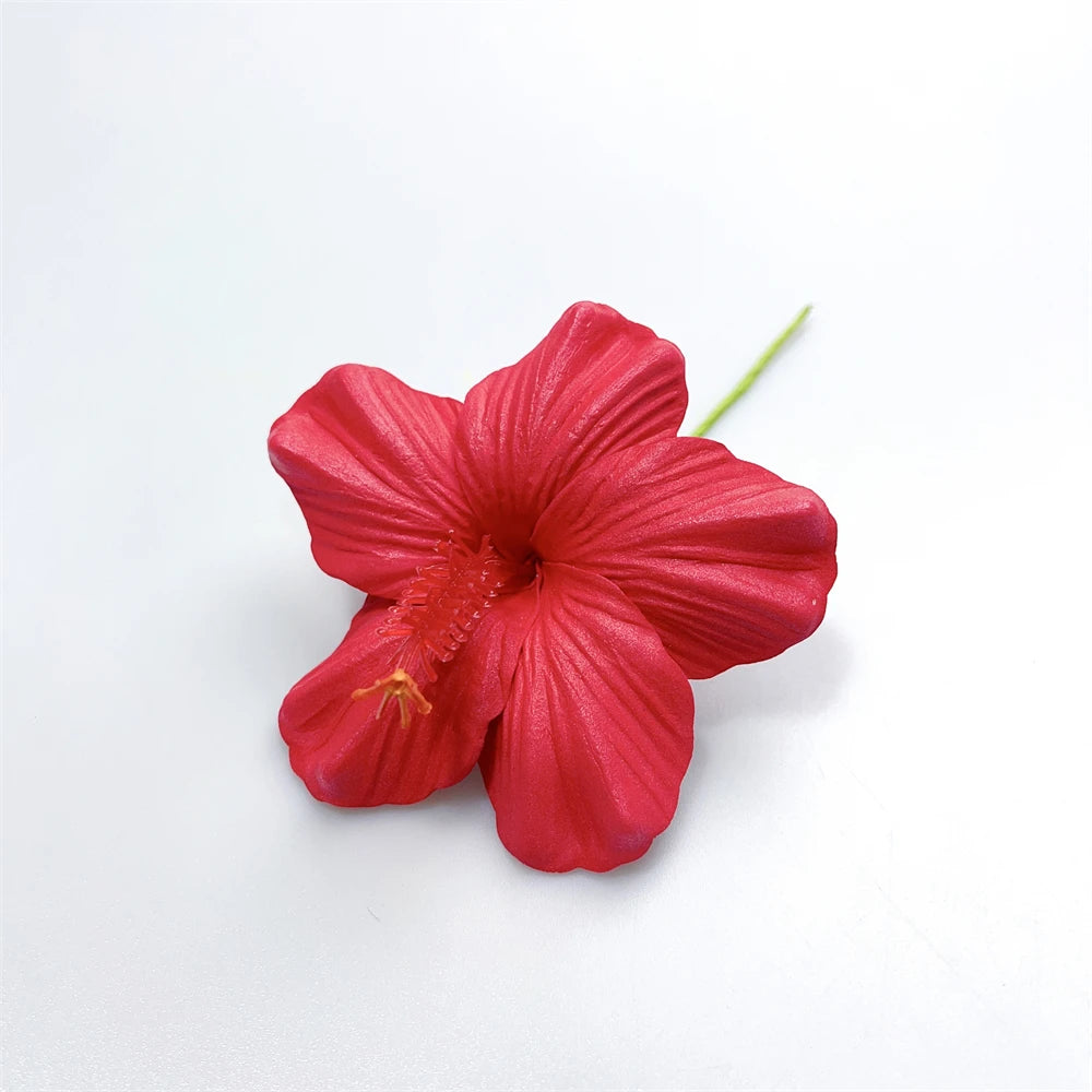 Hibiscus Tropical Sei's ( New )